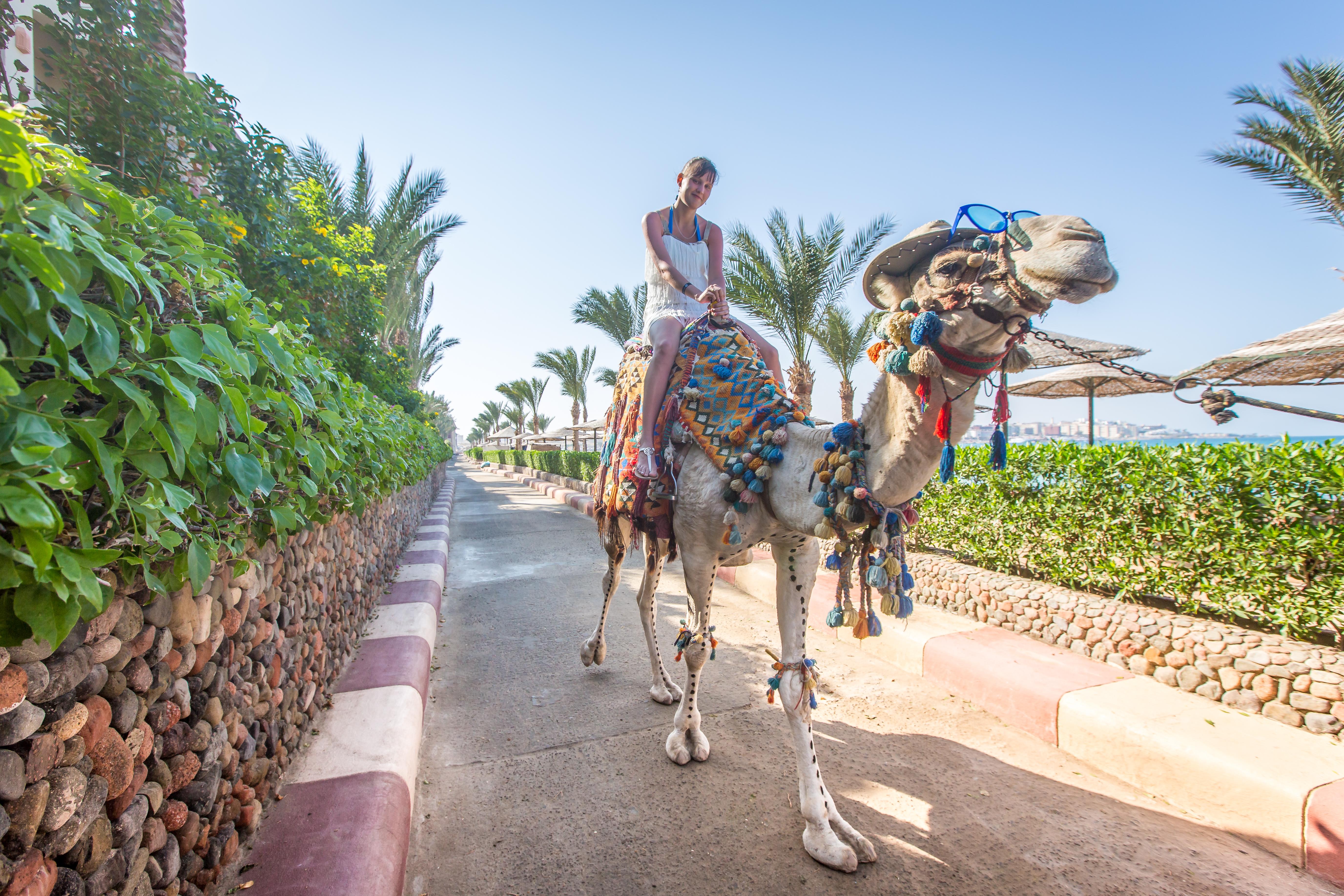 Sunny Days El Palacio Resort & Spa Hurghada Exterior photo